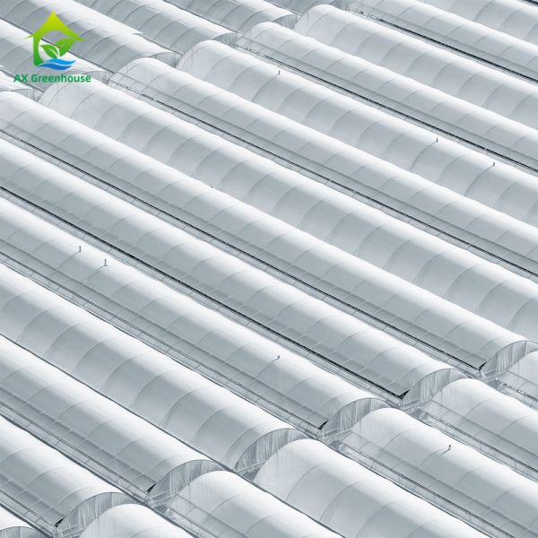 Quality 1m-12m Width Greenhouse Plastic Film for sale