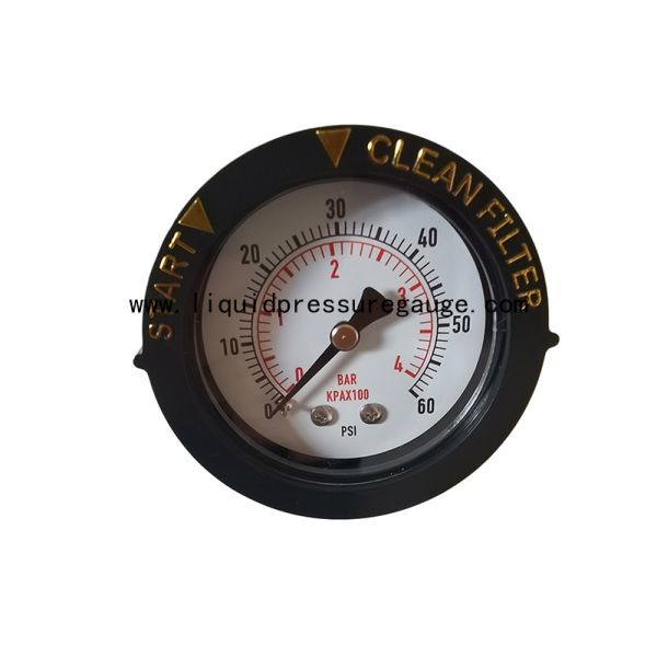 Quality 1/4" NPT Swimming Pool Water Pressure Tester 60psi With ABS Ring for sale