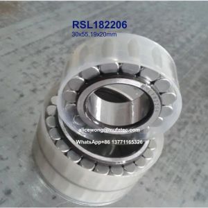 Buy cheap RSL182206 printing bearings full complement roller bearings 30x55.19x20mm from wholesalers