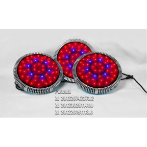 Buy cheap Newest Greenhouse Grow Led Lights 300w,Vegetative 300w Led Grow Lights Grow Panel Grow Lam from wholesalers