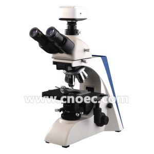 Buy cheap Coaxial Coarse Laboratory Binocular Microscope 40X For High School Rohs A12.2602 from wholesalers