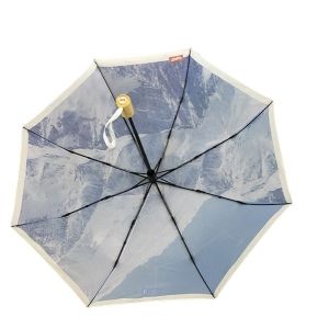 Buy cheap Digital Printing Metal Frame Windproof Folding Umbrella With Bamboo Handle from wholesalers