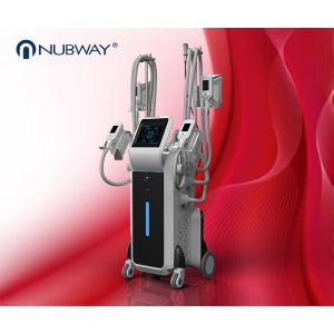 Buy cheap 4 Handles Body Slimming Fat Freezing cryolipolysis slimming machine from wholesalers