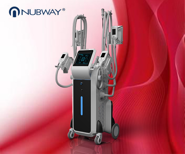 Quality 4 Handles Body Slimming Fat Freezing cryolipolysis slimming machine for sale