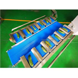 1000W Conveyor Belt Weigher , 10 Screen Conveyor Weighing System