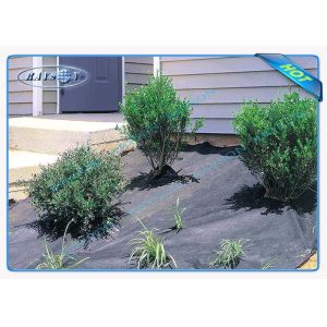 Buy cheap Water Permeable Agriculture Non Woven Cover 70gsm With UV Treated from wholesalers