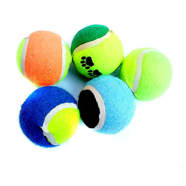 Quality ball dog for sale