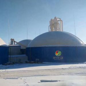 Buy cheap UASB Tank Biogas Plant Project Upflow Anaerobic Sludge Blanket Reactor from wholesalers
