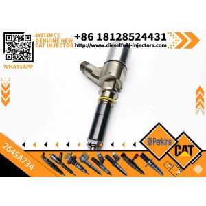 Fuel Injector 2645A718 2645A734 2645A747 for Perkins 1104D-E44TA Diesel Engine