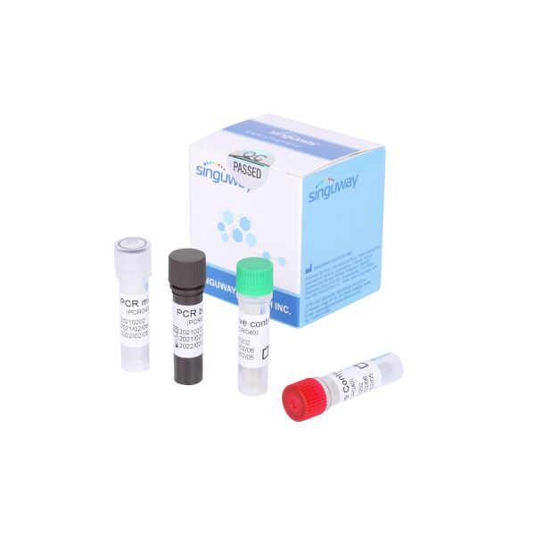 Quality Quantitative Diagnostic Kit RT PCR Test Kit For Hepatitis C Virus RNA HCV PCR for sale