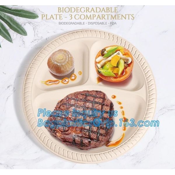 Eco Friendly Biodegradable Sugarcane Bagasse Plates Disposable,Sugarcane Bagasse