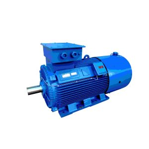 Cast Iron Three Phase Induction variable Electric Motor CE