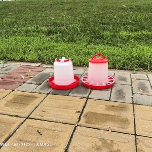 Innovative Freestanding Chicken Feed Dispenser With Cylinder Technology