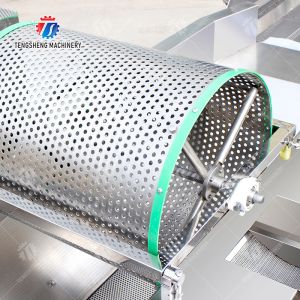 300KG/H Electric Vegetable Processing Machine Multi - Functional Fruit Cutting