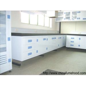 Professional Supply Physics Lab Table Benches With PP Material For Physical