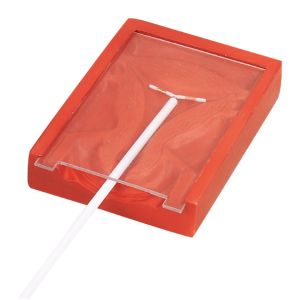 Buy cheap Laterial section female genitals Gynecologic Simulator Intra Uterine Device from wholesalers