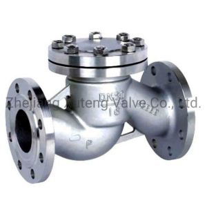 Buy cheap ANSI Wcb Y-Type Flange Stainless Steel Filter Initial Payment with Flange Connection from wholesalers