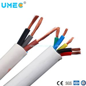Customer Specified PVC Insulated Flexible Wire Rvv H05vvf for Building
