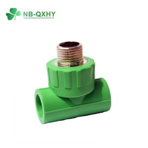 Buy cheap Agricultural Pipes PP-R Water Pipe Fitting with Brass in Different Sizes from wholesalers