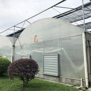 Buy cheap Large Poly Tunnel Plastic Film Multi-span Strawberry Growing Greenhouse With Shading System from wholesalers