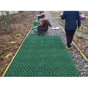 Permeable Grass Parking Trugrid Ecofriendly Plastic Grid Grass Paver for Parking