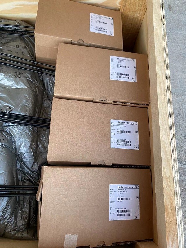 Conductive Point Level Detection Liquipoint FTW31 FTW31-A2A5AA0A