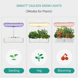 Buy cheap Full Spectrum Indoor Mini Garden 24W Table Lamp for plants seedling Smart hydroponics System 12 pods Large Capacity from wholesalers