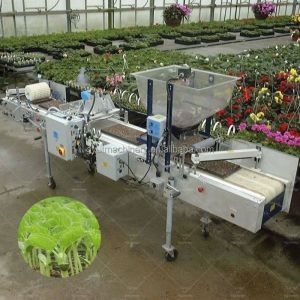 China 1140*850*1050mm Size Agriculture Microgreens Seeder Machine for Tomato Seed Planting on sale