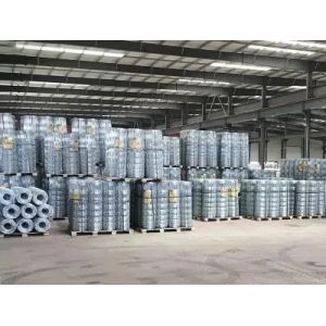 1/8'' 5/32'' 3/16'' 1/4'' 5/16'' 35Wx7 Stainless Steel Wire Rope for Crane