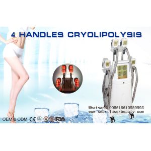Buy cheap Cryolipolysis Slimming Machine With 4 Handles Working Together / Zeltiq from wholesalers