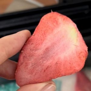 High Productivity Industrial Vacuum Freeze Drying Machine with 200kg per Batch