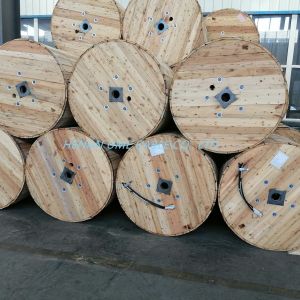 Hot Printing AAC/ACSR/AAAC Conductor Overhead Covered Line Wire with PVC