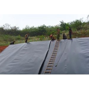 Modern Design 2.0mm HDPE Geomembrane Pond Liner with Textured Surface at