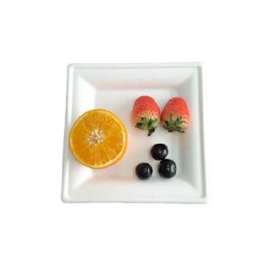 Buy cheap Disposable Dinnerware 10 Inch Square Sugarcane Pulp Plates product