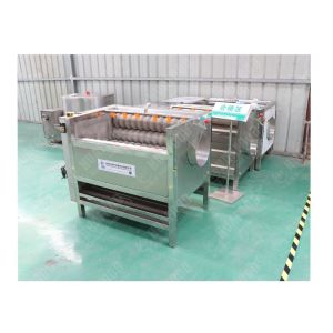 Buy cheap Brushing Cleaning Ginger Washing Industrial Peeler Potato Onion Peeling Machine from wholesalers