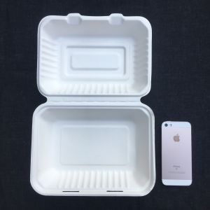 China Rectangle Biodegradable 600ml Disposable Bento Lunch Box Sugarcane Pulp on sale