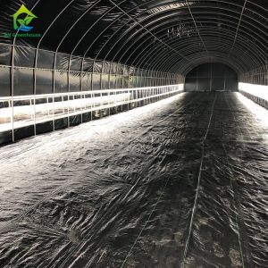 Auto Blackout Custom Fully Light Deprivation Agricultural Mushroom Greenhouse