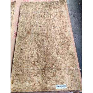 Buy cheap Golden Madrone Burl Veneer | 0.45mm | LINGFENG from wholesalers