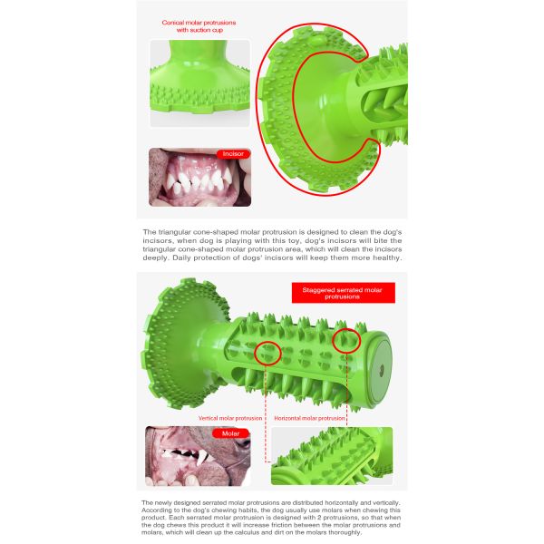 Professional Manufacturer Supply Classical Tpr Dog Squeaky Sounding Toothbrush Dog Interactive Toy