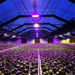 Buy cheap Light Deprivation Automatic Blackout Greenhouse Height 2.8-5m from wholesalers