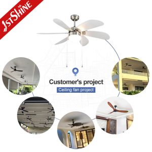 Buy cheap 1stshine Restaurant Decorative Ceiling Fan with 6 MDF Blades and Low Voltage AC Motor from wholesalers