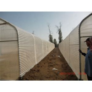 Buy cheap 3.3m Height Single Span Greenhouse Vegetable Growing Greenhouse With Hydroponic Systems from wholesalers