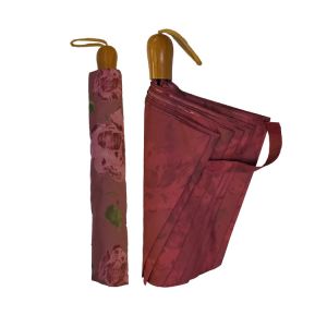 Buy cheap BSCI Printed 2 Fold Auto Open Close Windproof Travel Umbrella from wholesalers