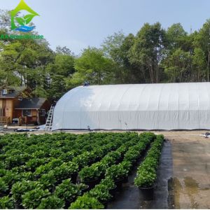 Buy cheap 1m-12m Width Greenhouse Plastic Film from wholesalers