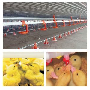 Buy cheap 360 Degree Ball Valve Chicken Nipple Drinkers For Poultry Automatic Drinking System from wholesalers