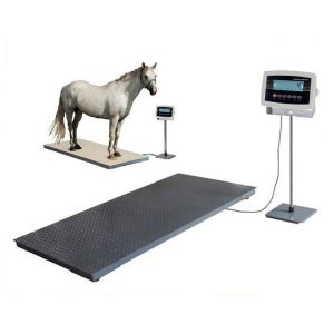 China Precise Livestock Cattle Weighing Scale with Indexing Value 0.5/1/2/5Kg and Customized Support on sale