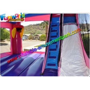 Hot Frozen Combo Slide Inflatable , Inflatable Jumping Slide With PVC