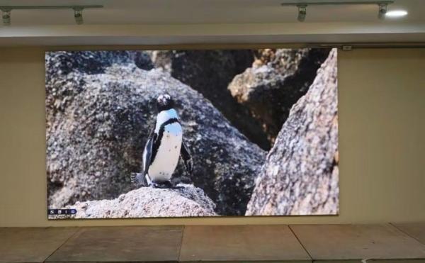 Quality 10. High Definition LED Display Board with Moduel Resolution 208*104 and CE/ROHS/FCC Standard for sale