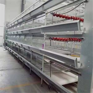 Buy cheap 3 Tiers H Type Layer Chicken Cage For Broiler Farm Cold Galvanized from wholesalers