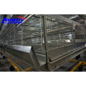 Buy cheap Layer chicken cages / Poultry cages from wholesalers